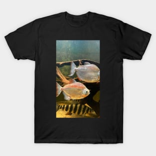 fish in the water T-Shirt